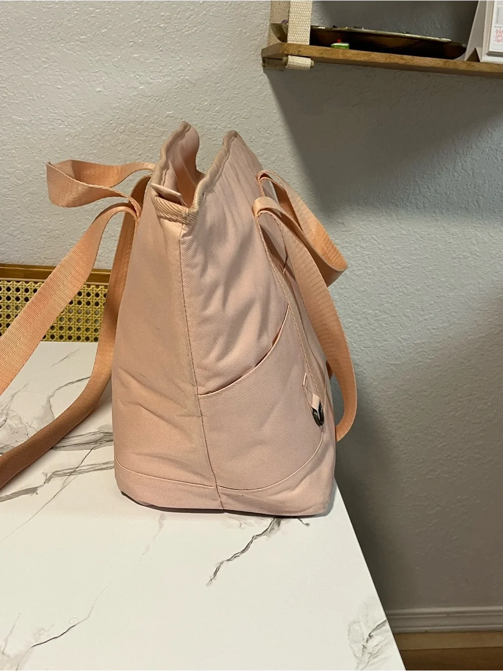 Pink Dog Pet Carrier Bag tote